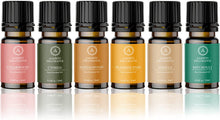 Load image into Gallery viewer, Aakriti Essential Oil Set in Gift Box | Safe for Diffusers, Massage, Aromatherapy, Candle Making, Skin & Hair Care in 10mL Glass Bottles