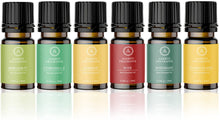 Load image into Gallery viewer, Aakriti Essential Oil Set in Gift Box | Safe for Diffusers, Massage, Aromatherapy, Candle Making, Skin & Hair Care in 10mL Glass Bottles