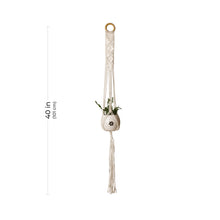 Load image into Gallery viewer, Aakriti Gallery Macrame Plant Hanger / Flower Pot Holder - Hanging Baskets, Stand Planters for Indoor, Outdoor, Boho Home Decor Natural Color (L 101 cm) ( L 40 In) Set of 3

